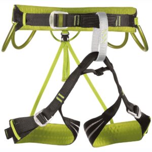 camp alpine flash