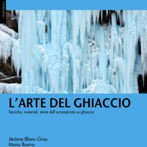 arte del ghiaccio